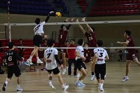 为什么自律如此反人性？（为何自律常被认为违背人性？）