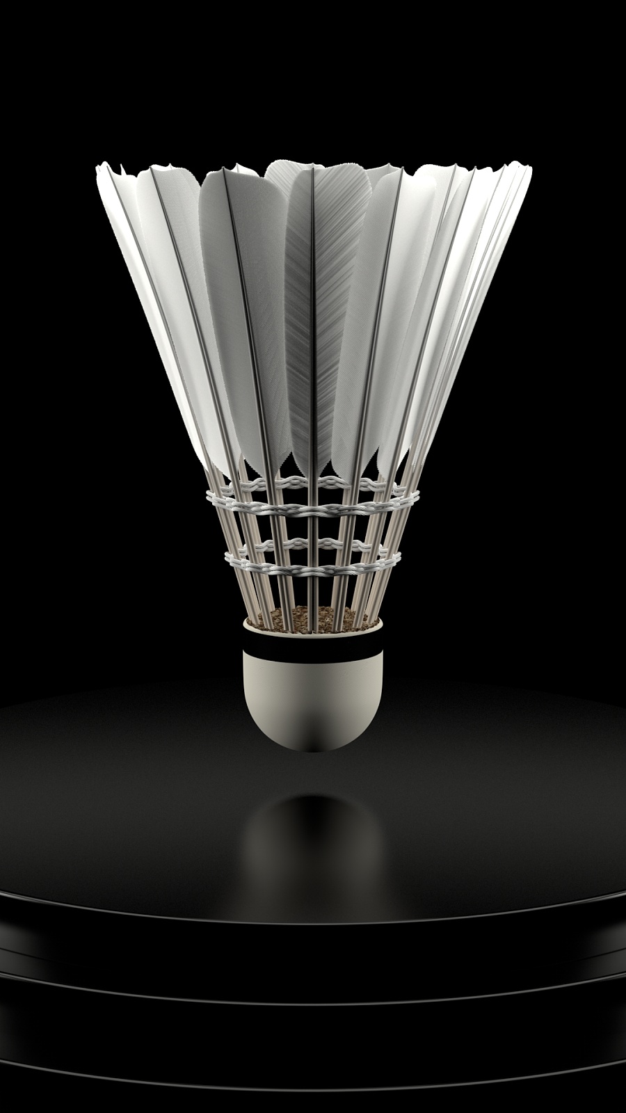 卡位以及中 卡位以及中