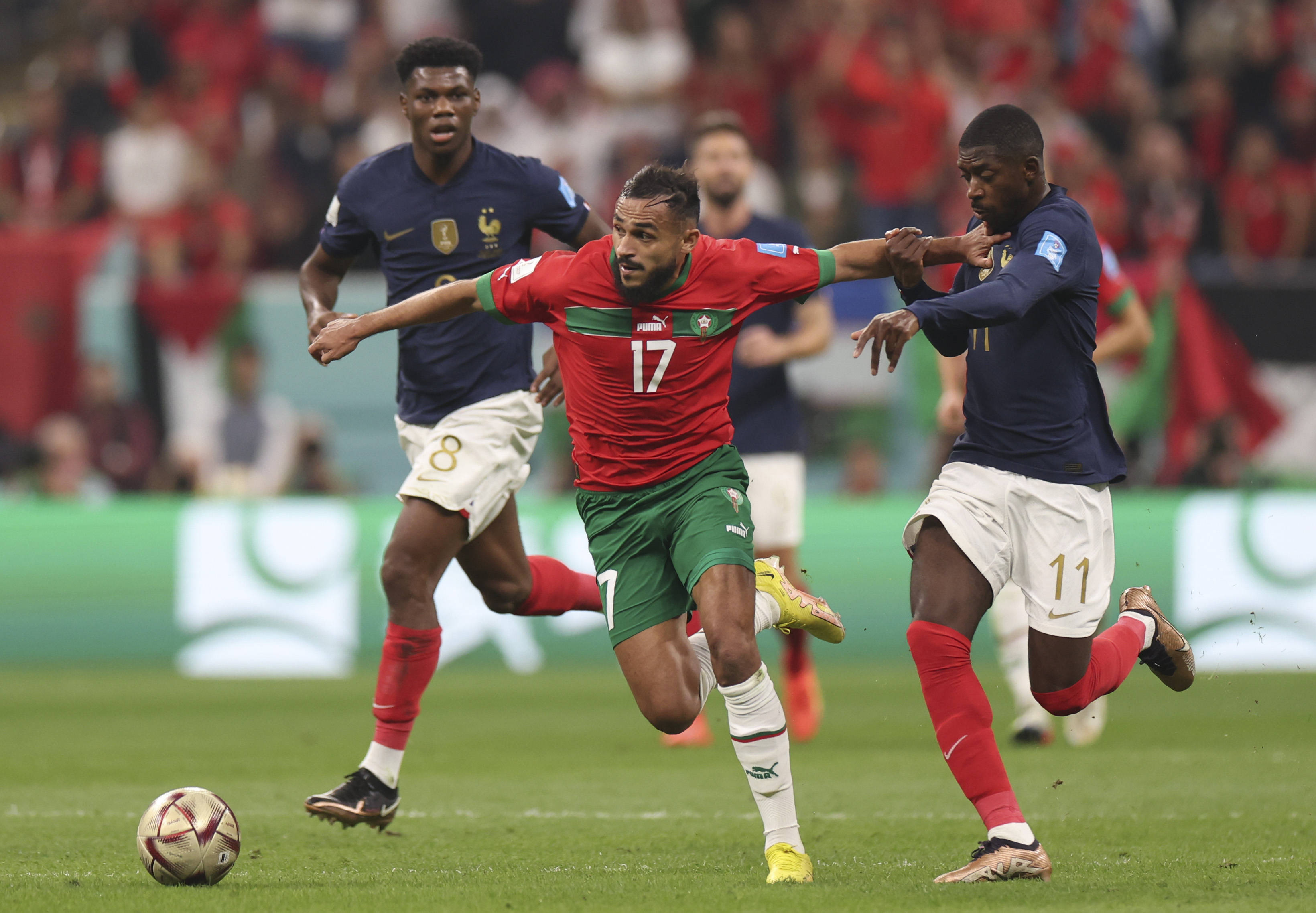 知自己的失 知自己的失